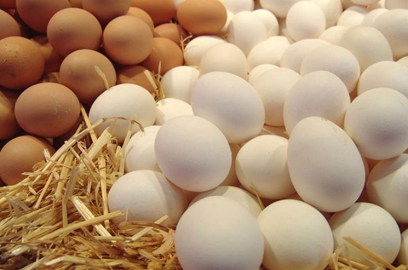 چرا قیمت تخم‌مرغ به شانه‌ای ۶۰ هزار تومان رسید؟