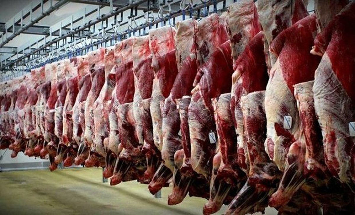 ثبات قیمت گوشت گوسفندی در یک ماه گذشته