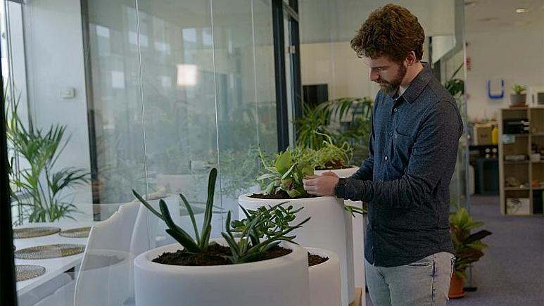 جوان مبتکر اسپانیایی موفق به تولید الکتریسیته از خاک گیاهان شد
