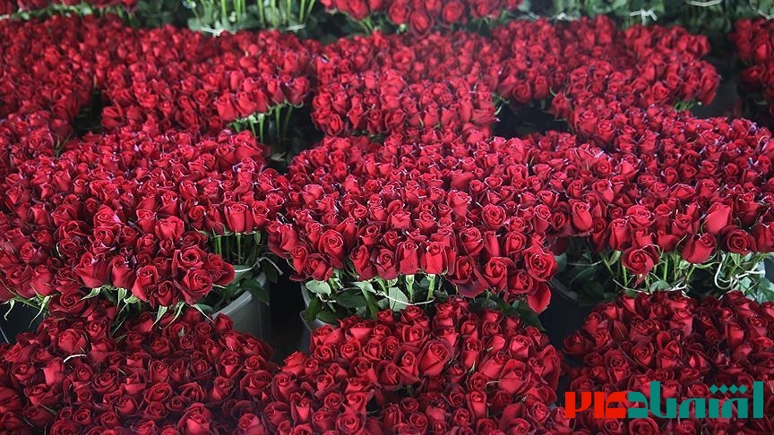 ترکیه امسال 125 میلیون دلار گل صادر کرد