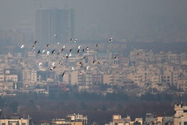 آلوده‌ترین هوای تهران در سال جاری