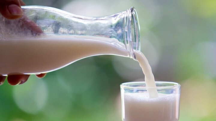 روزانه چه مقدار شیر بخوریم؟