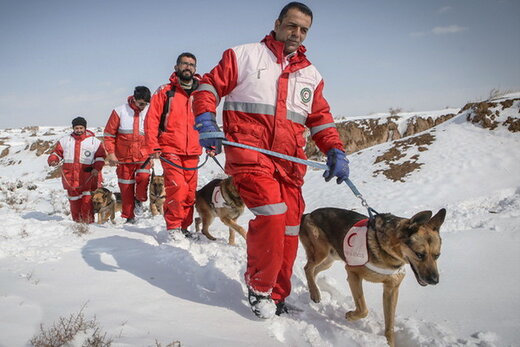 خاتمه جستجو برای نجات کوهنوردان گمشده