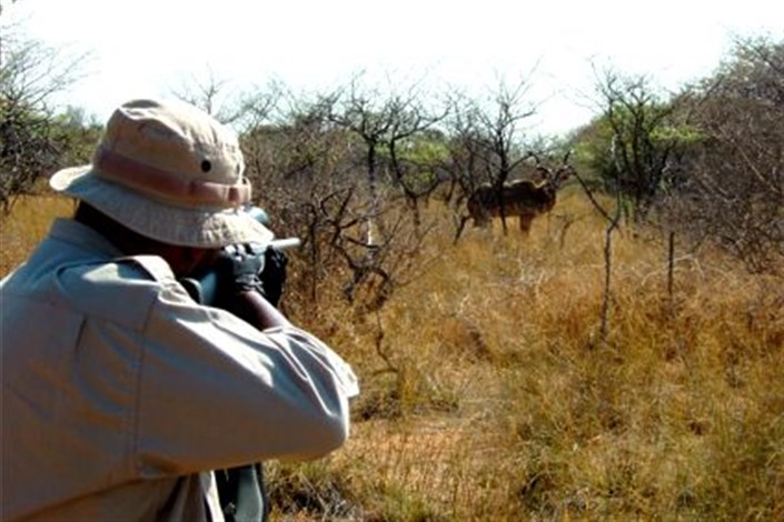 ​کشف بیش از ۷۰ درصد شکار غیرمجاز توسط همیاران محیط زیست