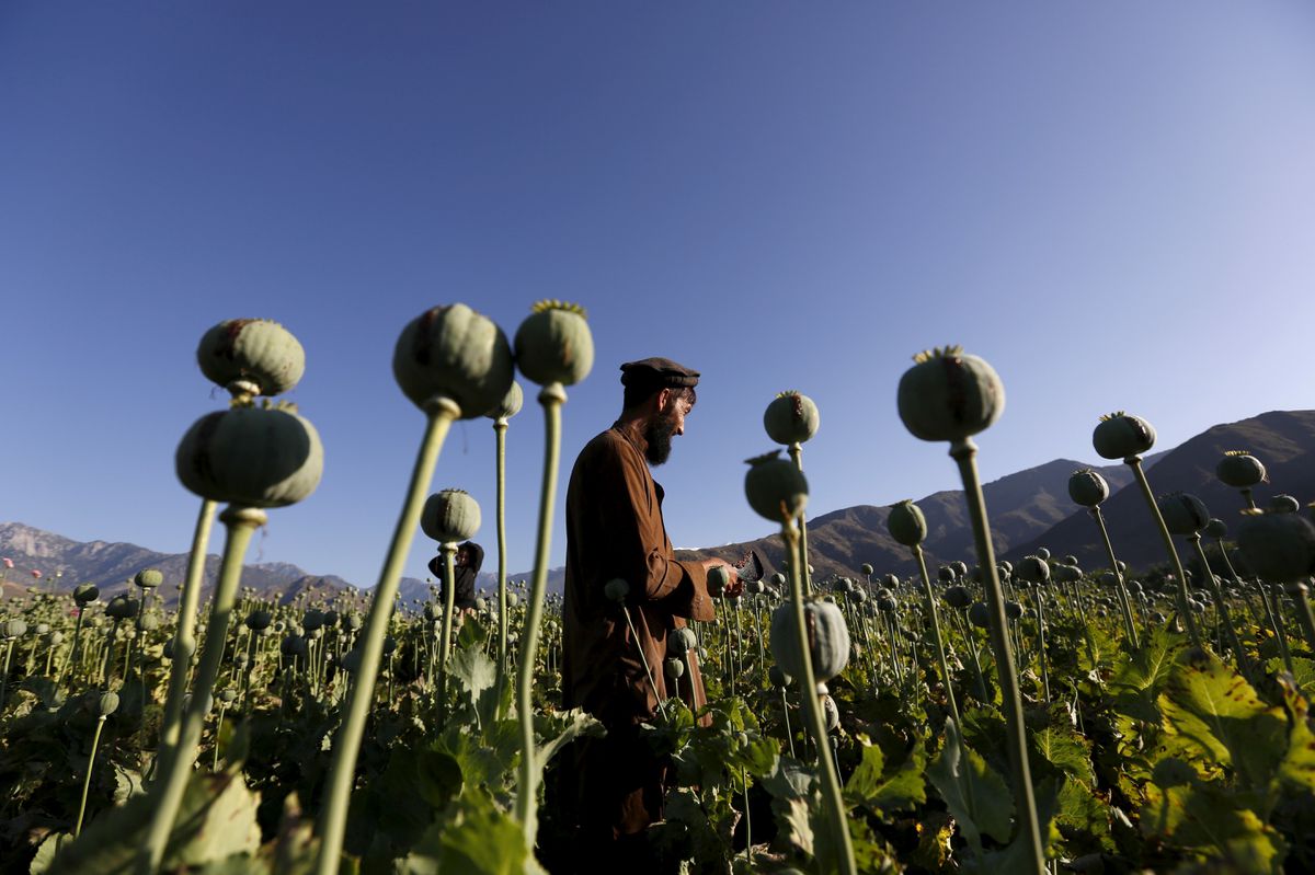 پیوند ممنوعیت کشت خشخاش در افغانستان بر بازار‌های ایران