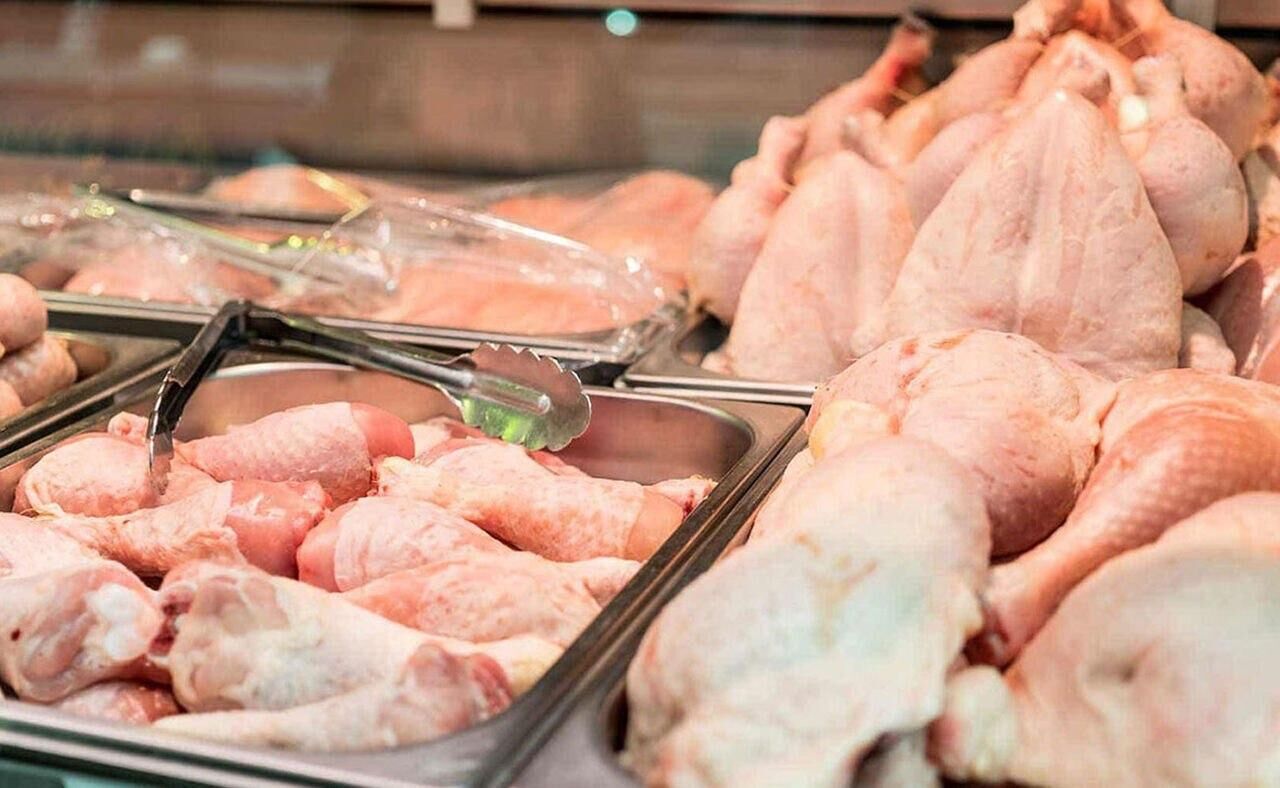 افزایش مجدد قیمت مرغ/ توزیع قطره چکانی نهاده‌های دامی در بین مرغداران ادامه دارد