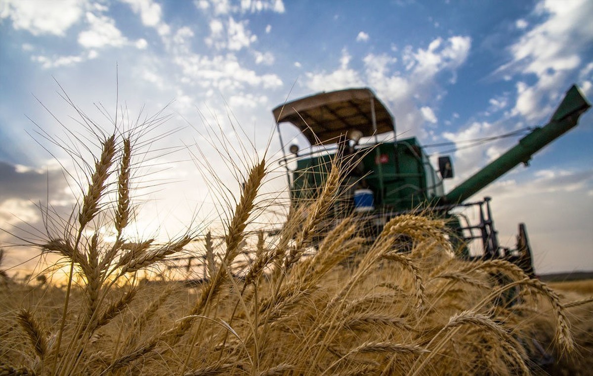 دستور مهم بورس برای معامله محصولات کشاورزی