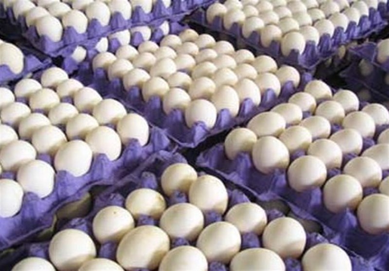 قیمت تخم‌مرغ کاهش می‌یابد؟