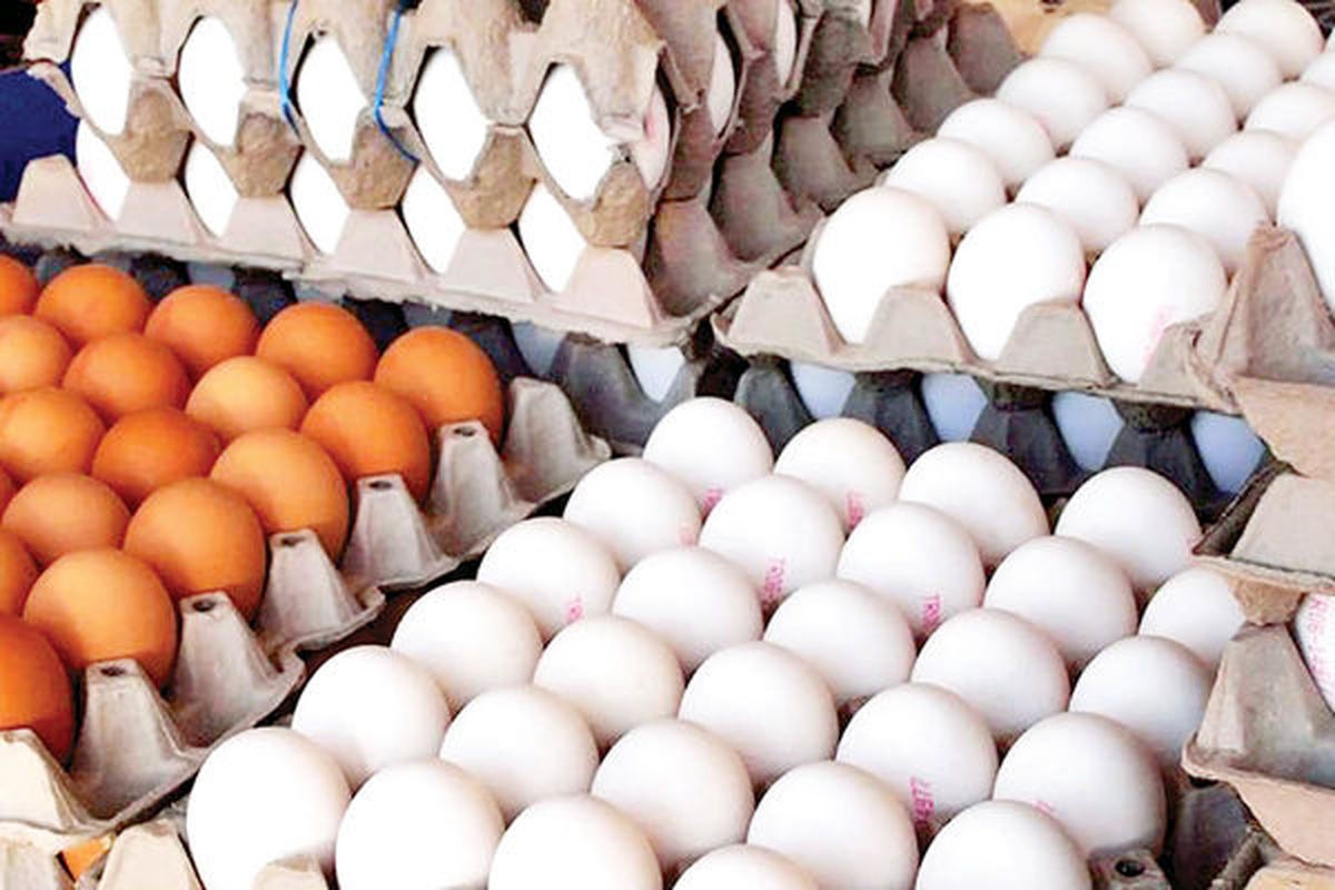 فروش تخم مرغ به صورت شانه