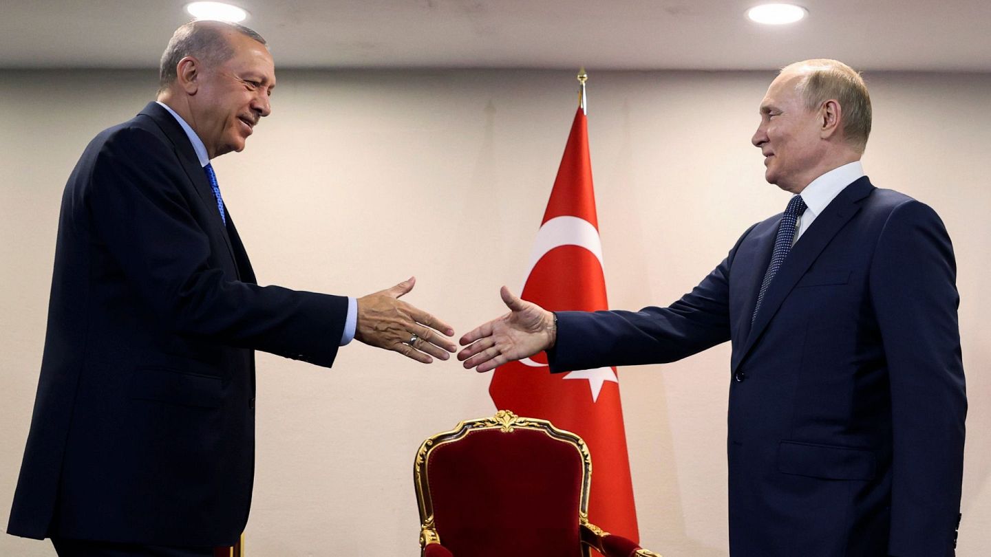 اردوغان و پوتین