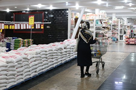 خرید برنج به نصف رسید/ رشد قیمت برنج متوقف شد؛ اما مردم توان خرید ندارند