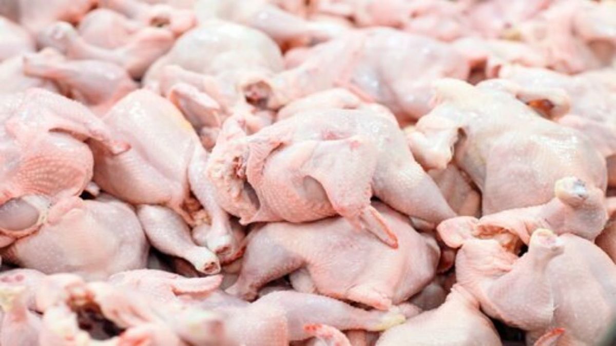 قیمت انواع گوشت مرغ بسته بندی در بازار