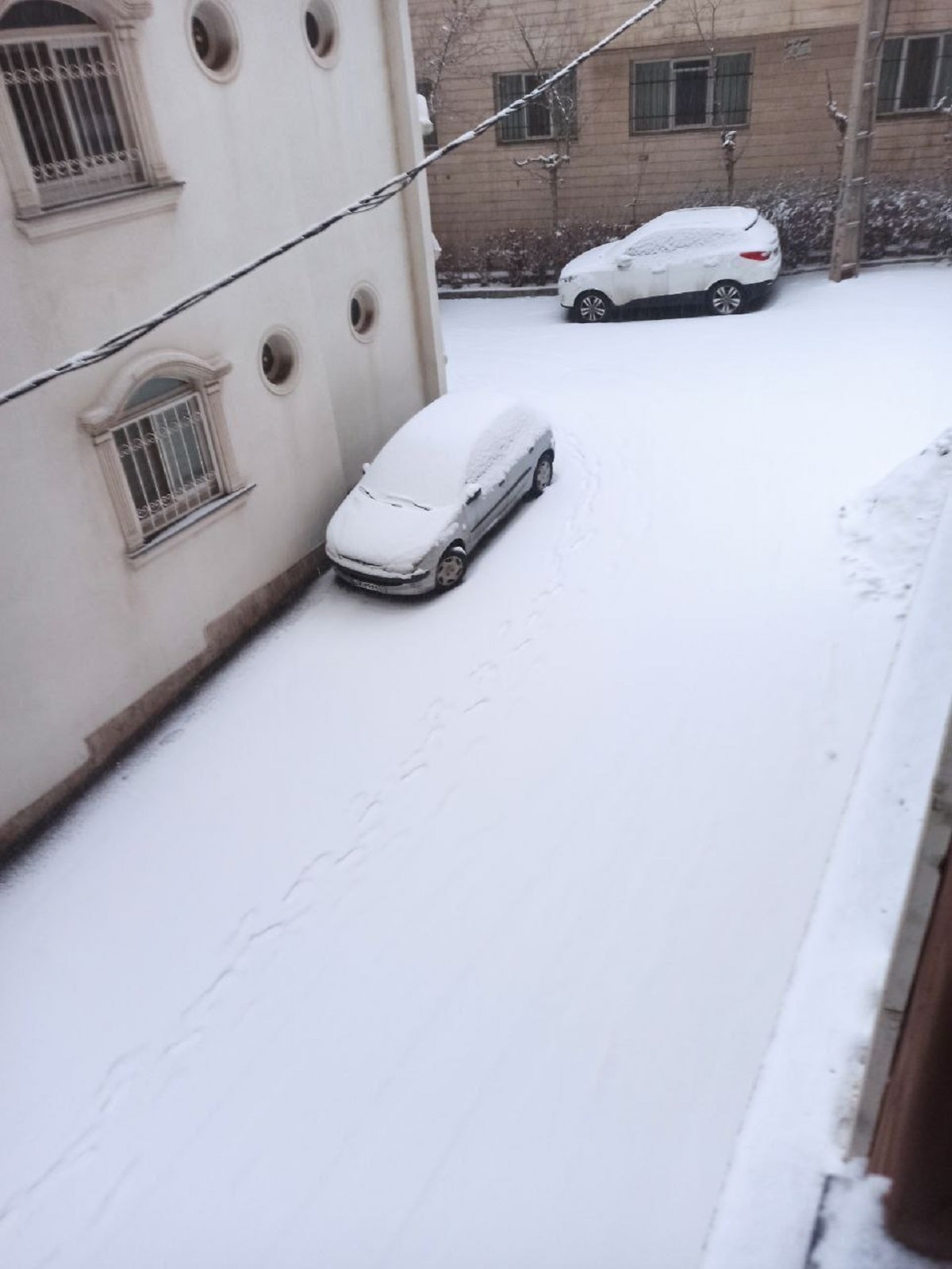 عکس/بارش برف؛ نیاوران، تهران