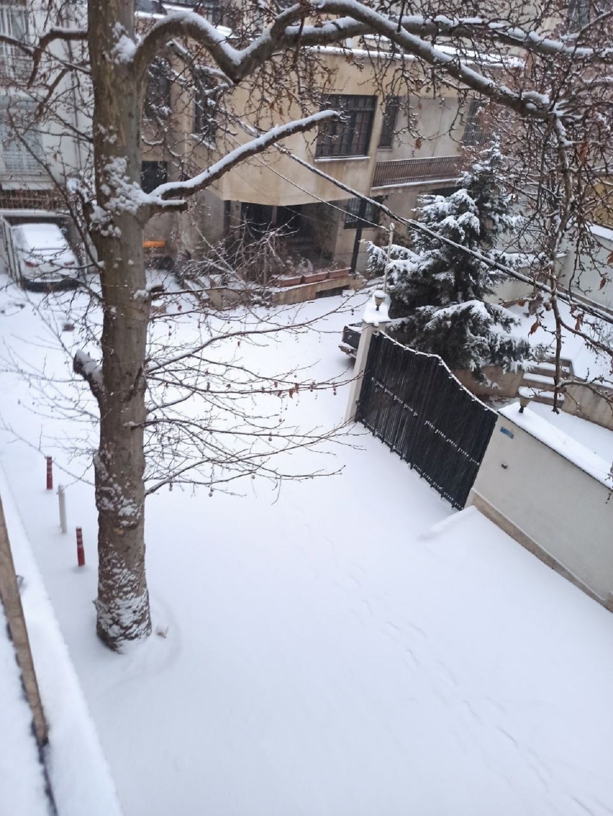 عکس/بارش برف؛ نیاوران، تهران