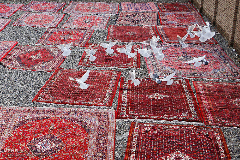 قالیشویی شب عید
