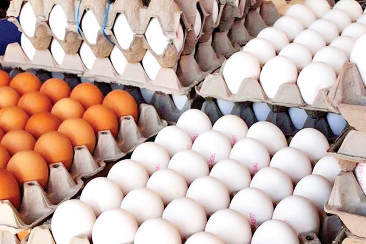 جدیدترین قیمت انواع تخم مرغ