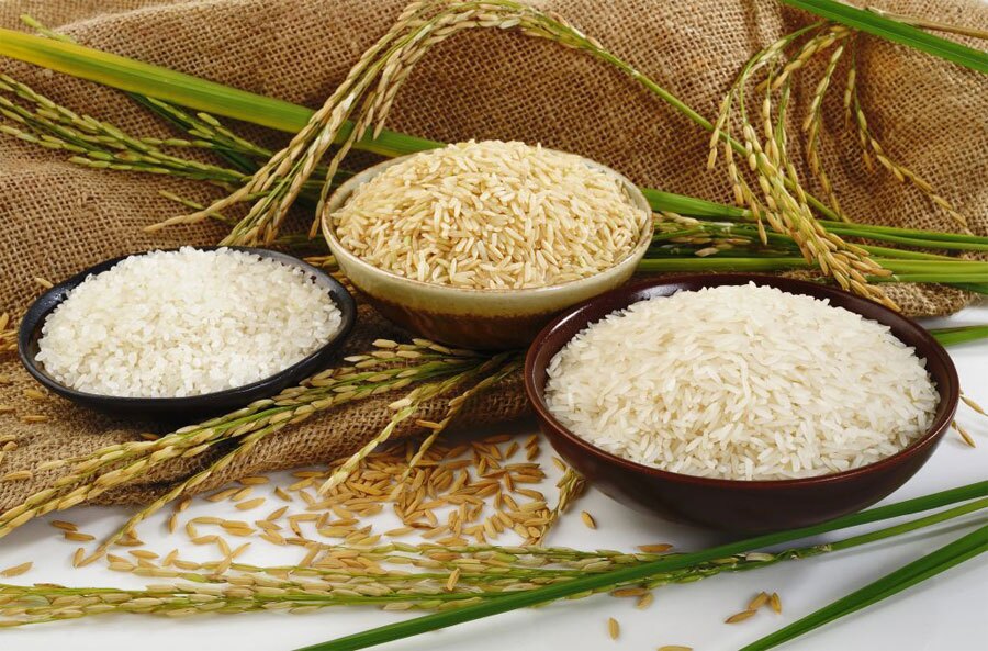 قیمت روز انواغ برنج در بازار