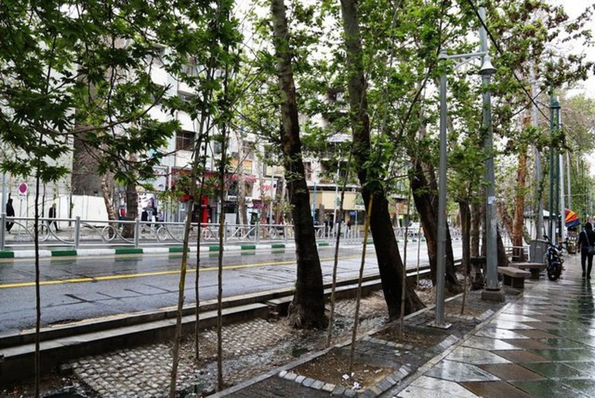 چه درخت‌هایی را در تهران نباید بکاریم؟