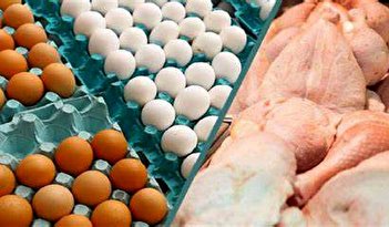 فیلم/ روند کاهشی قیمت تخم‌مرغ و مرغ از فردا