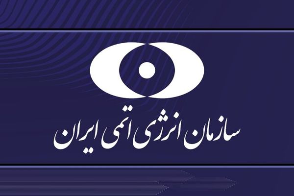 فعالیت چند دوربین‌ فراپادمانی آژانس در ایران قطع شد