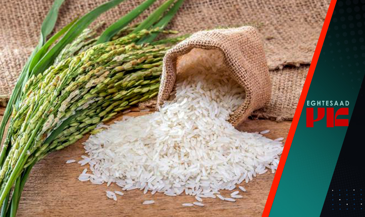 برنج ایرانی به اندازه در بازار عرضه می‌شود/ دلیل گرانی برنج چیست؟