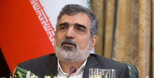 سخنگوی سازمان انرژی اتمی ایران