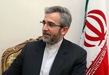 فیلم/ واکنش وزارت خارجه به شایعه استعفای علی باقری