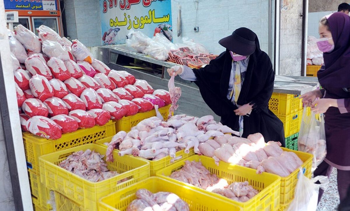 قیمت جدید مرغ در بازار/ جوجه‌های یک روزه به دلیل کاهش تقاضای مرغ زنده به گور شدند