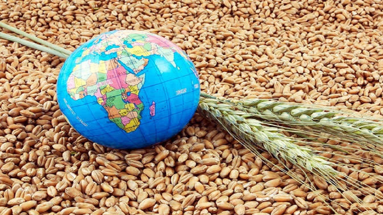 دلواپسی جهانی از بحران امنیت غذایی