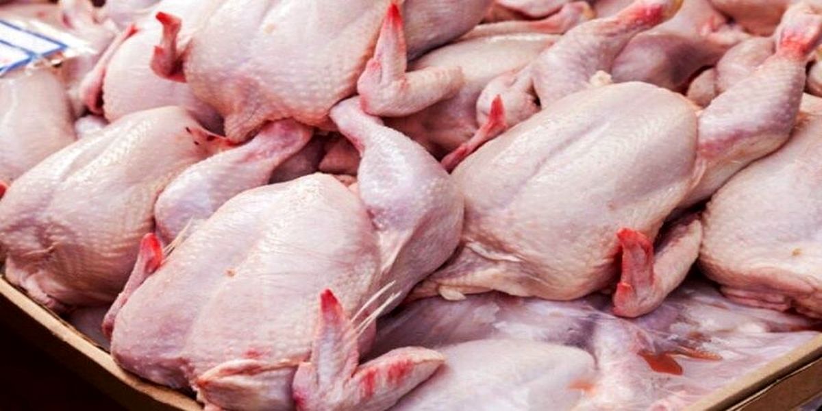 قیمت جدید مرغ در بازار ۲۲ مرداد