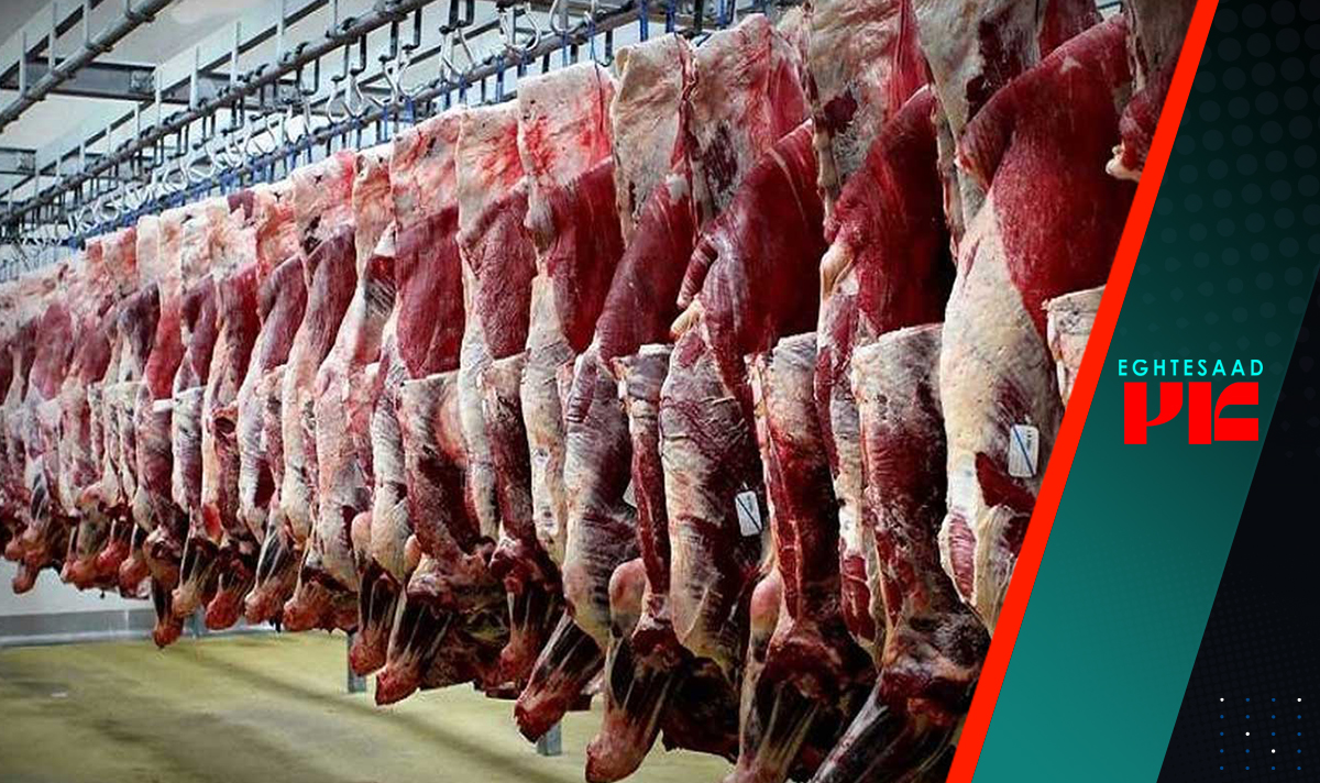 /حرکت خاکستری دلالان در بازار گوشت