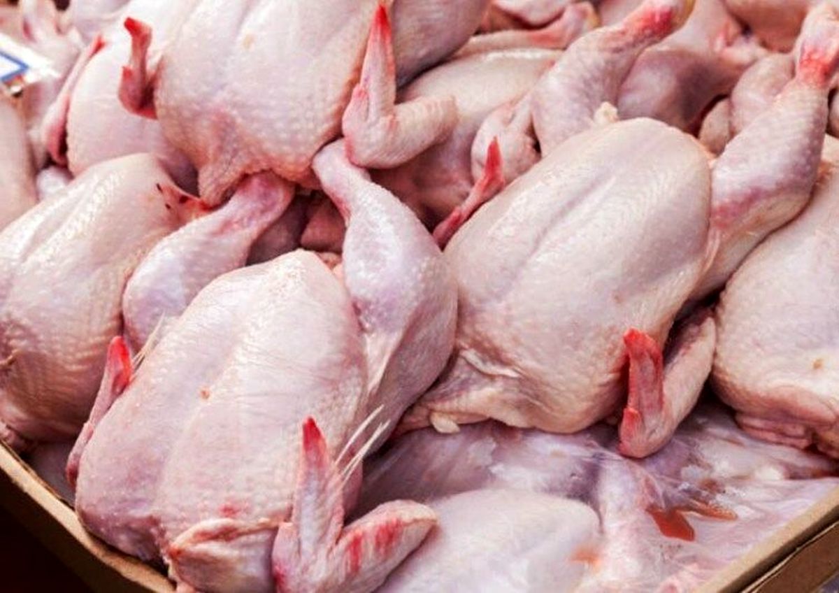 قیمت گوشت قرمز و مرغ در بازار چند؟