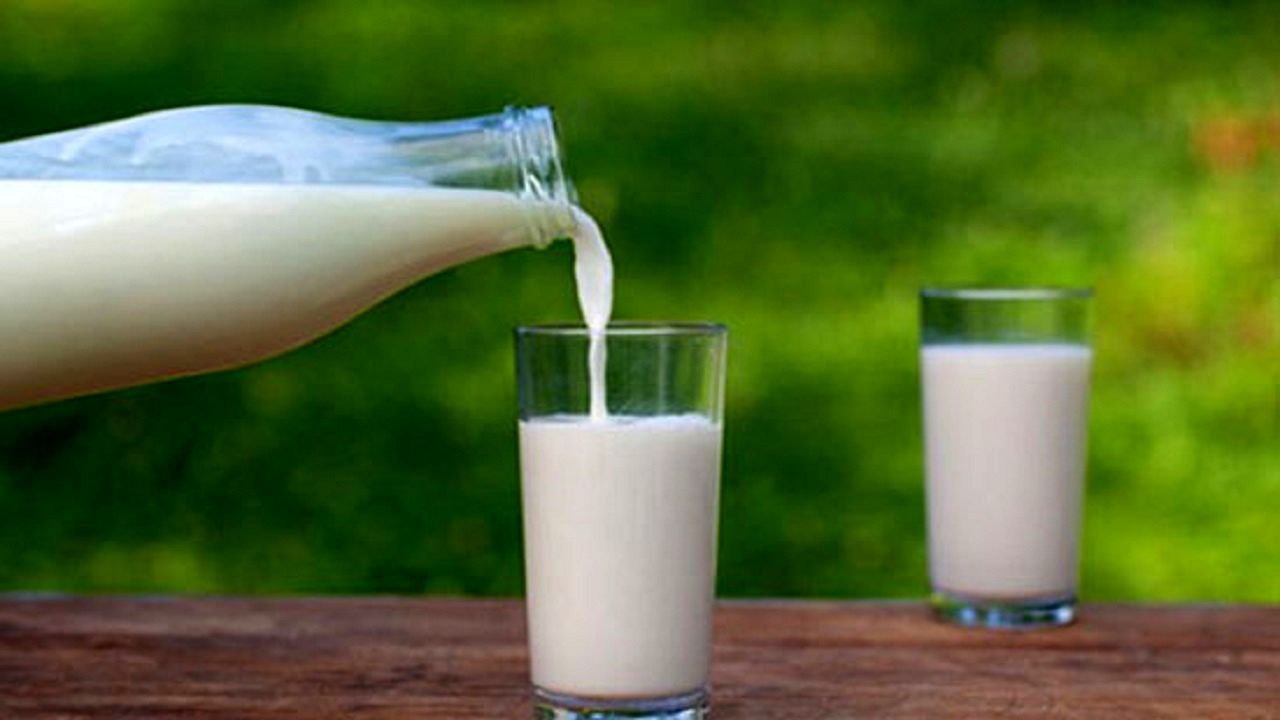 هزینه خرید شیر کم چرب