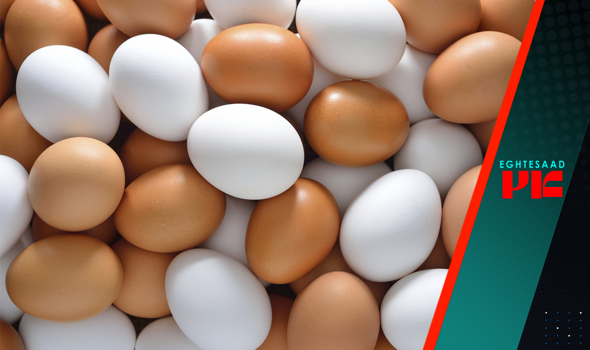 /تخم مرغ‌های لاکچری در بازار
