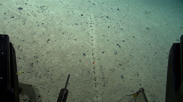 کشف حفره‌های مرموز و عجیب در کف اقیانوس اطلس!