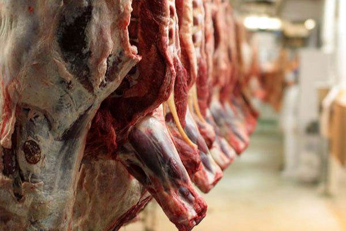 مصرف گوشت الاغ و اسب