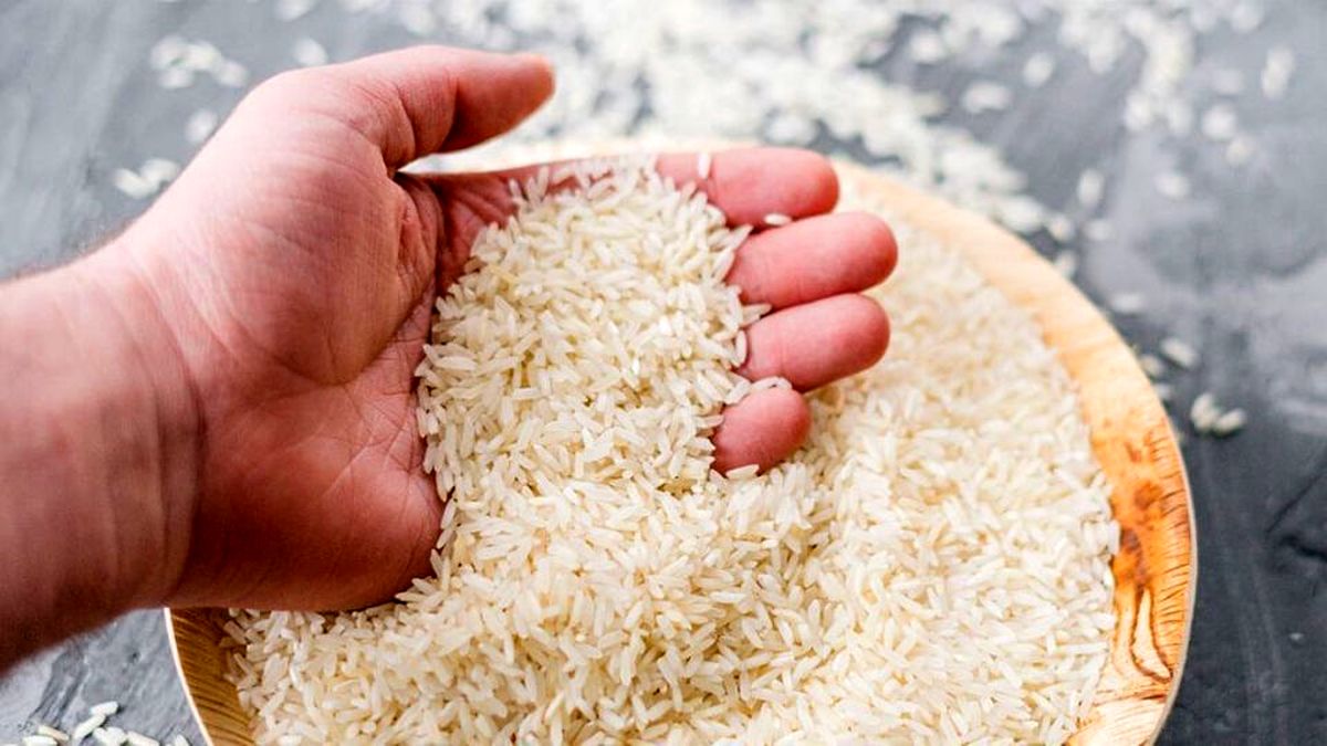 قیمت خرید تضمینی برنج به زودی اعلام می‌شود