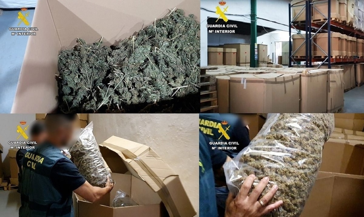 کشف بزرگترین محموله ماری‌جوانا در جهان