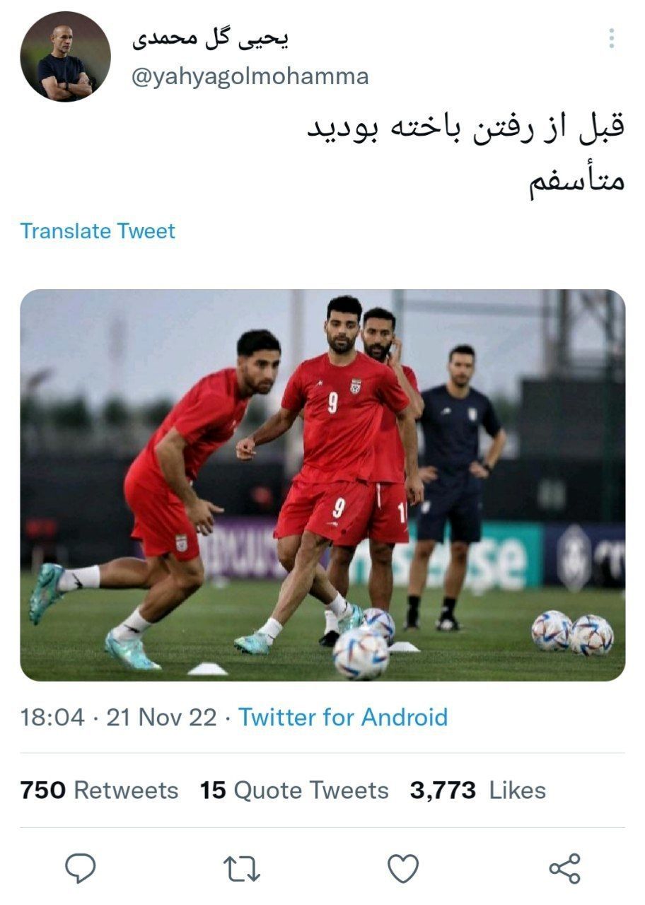 واکنش گل‌محمدی درباره باخت تیم ملی