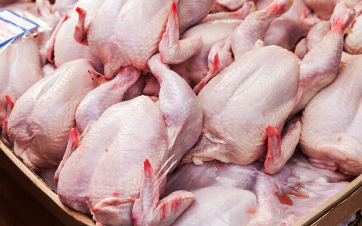 زیان تولید کنندگان مرغ