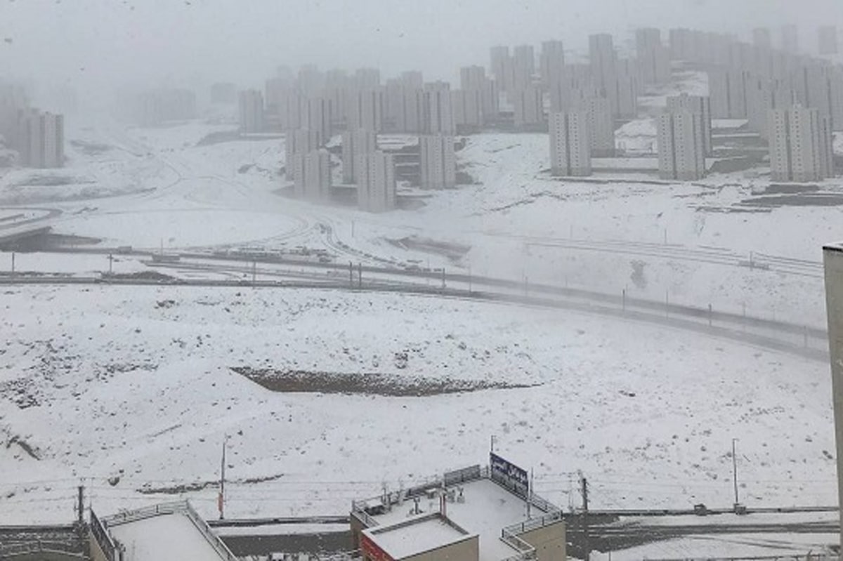 تصاویری از بارش شدید برف در پایتخت