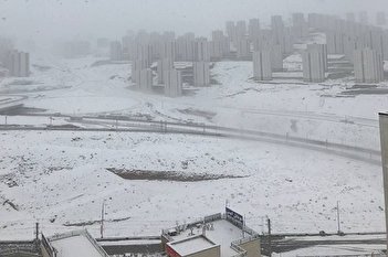 تصاویری از بارش شدید برف در تهران
