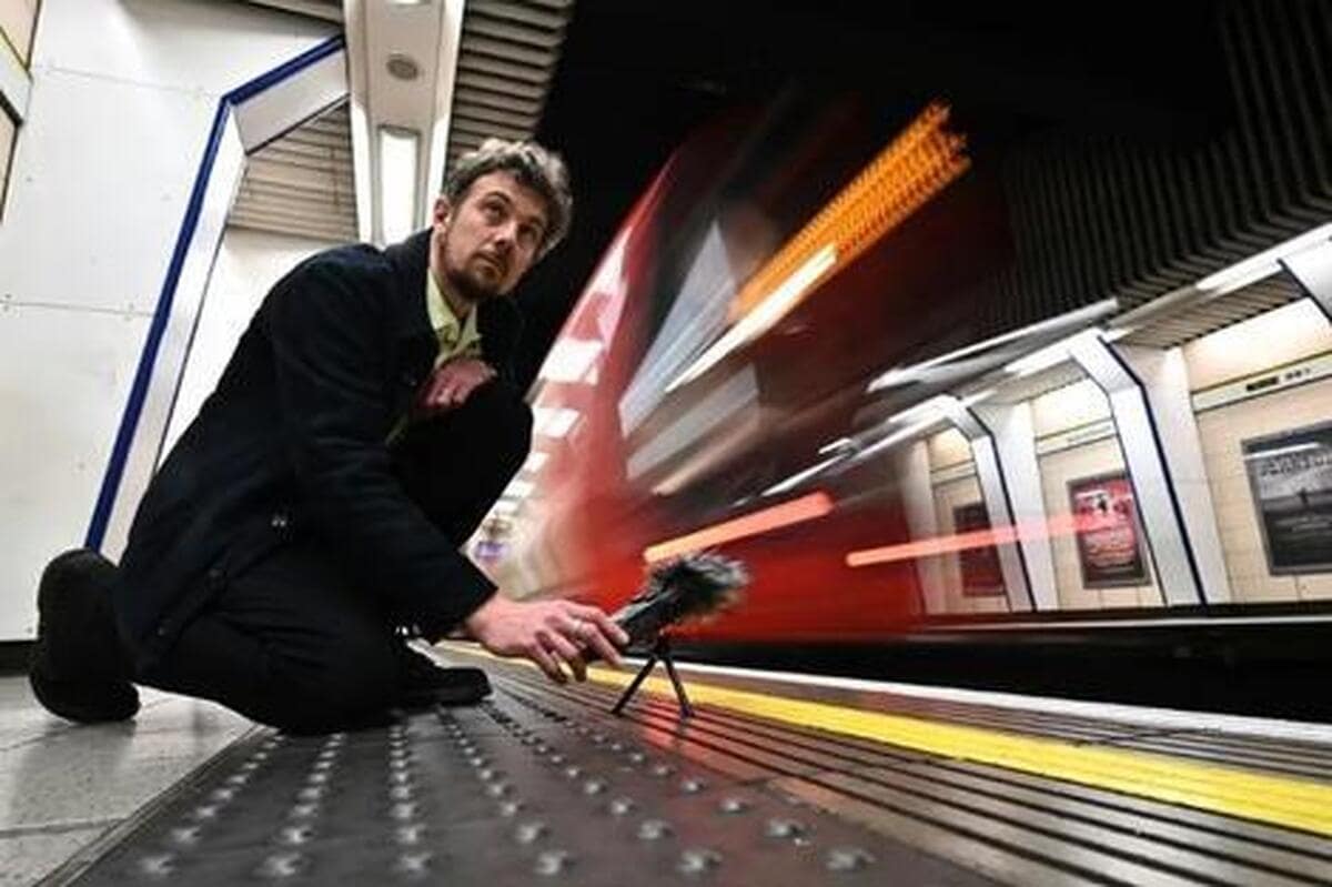 فیلم/ جمع آوری صدا‌های در حال انقراض