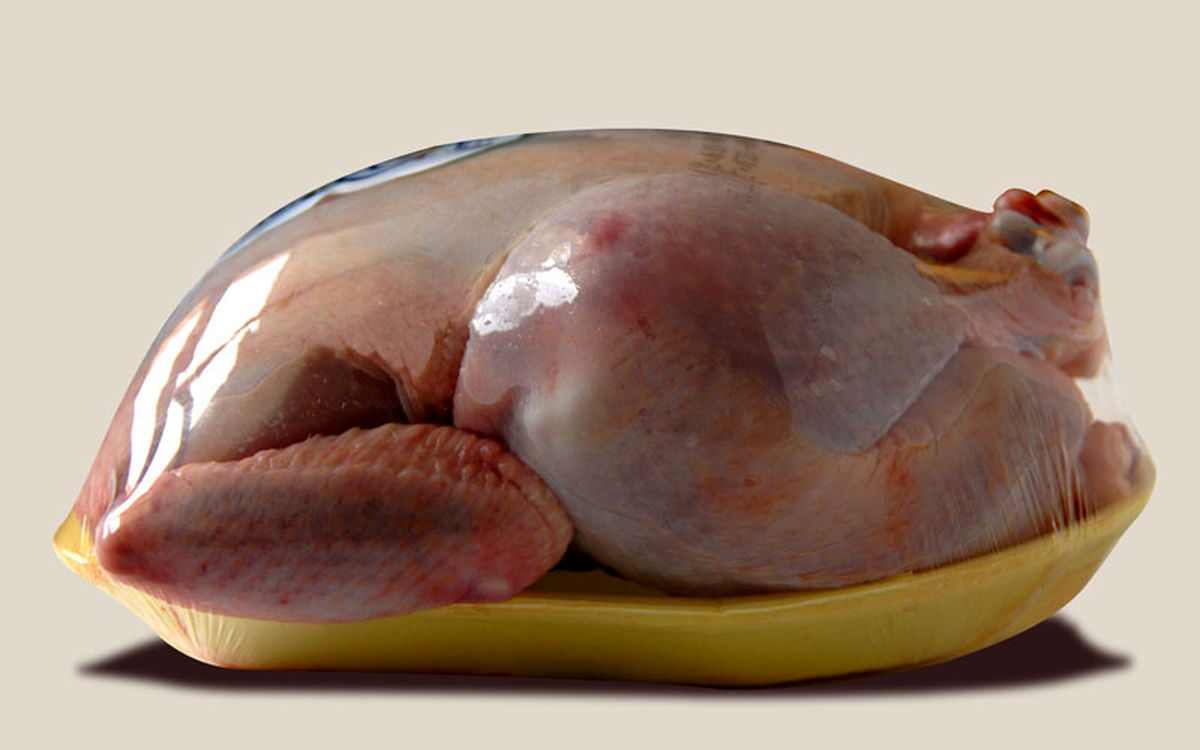 واردات گوشت مرغ گرم