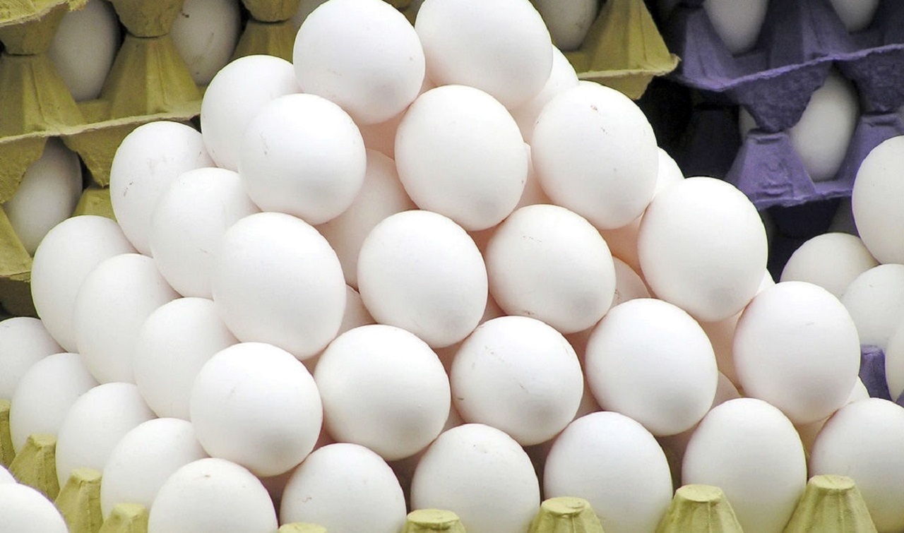 قیمت تخم مرغ ایرانی در کشور‌های همسایه
