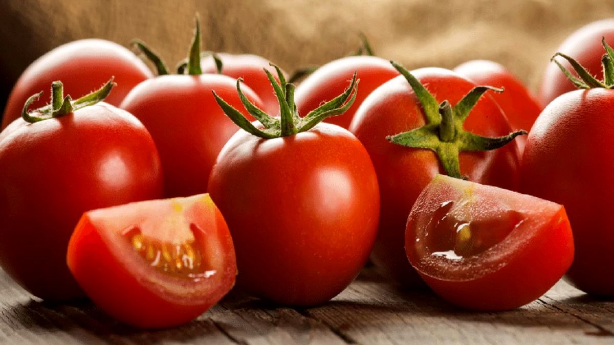 قیمت گوجه‌فرنگی