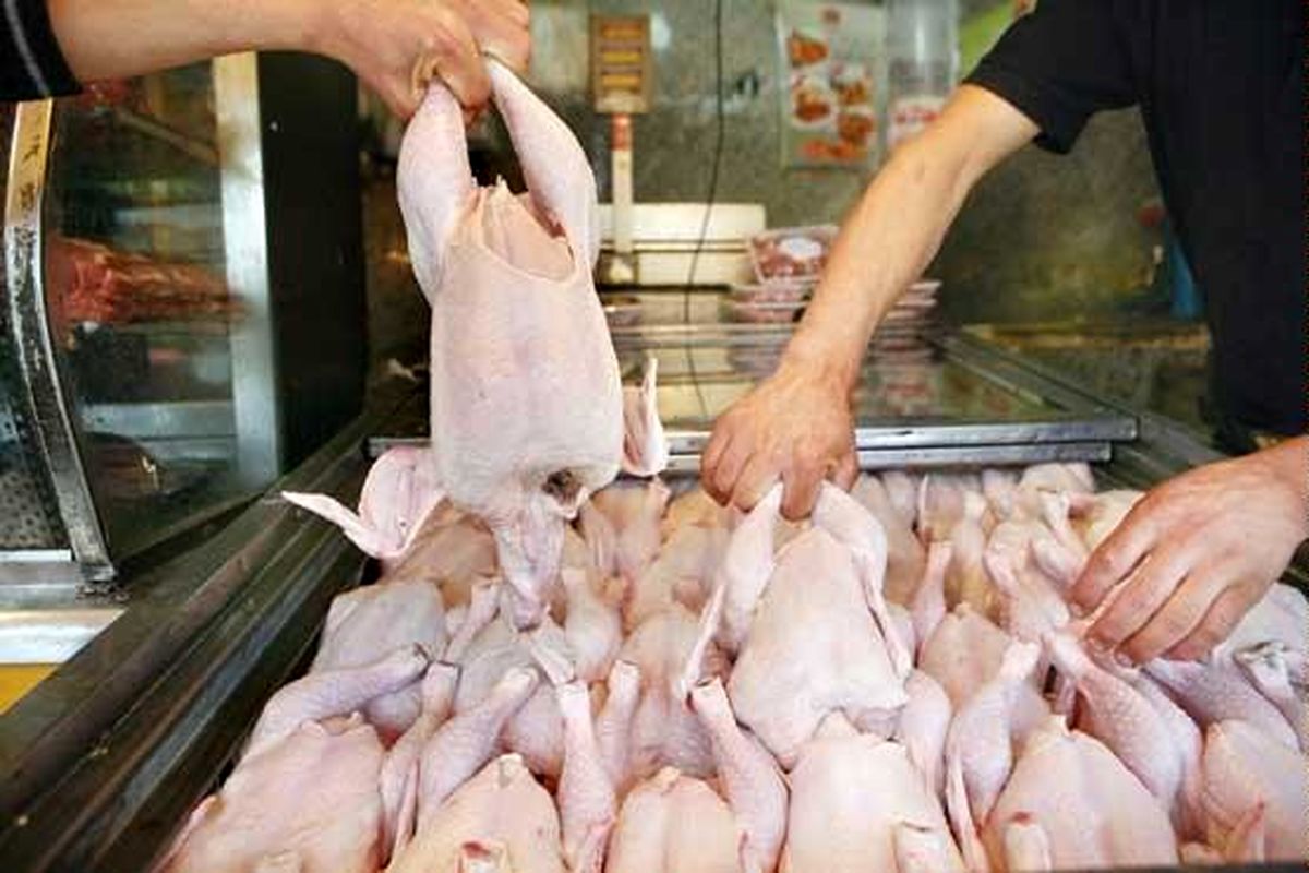 فروش مرغ بالاتر از ۶۳ هزار تومان تخلف است