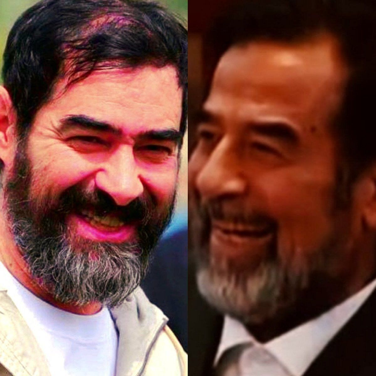 شباهت شهاب حسینی به صدام حسین
