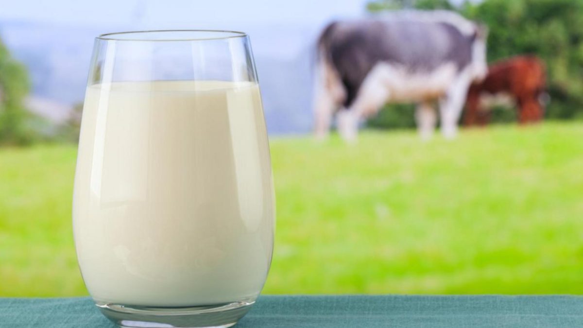 قیمت انواع شیر در بازار‌ها