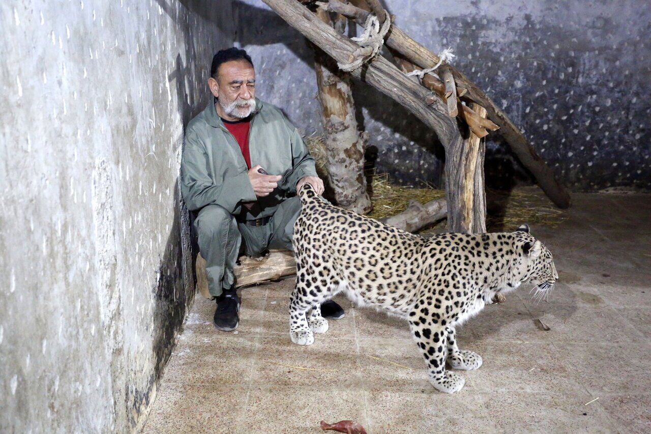 ماجرای مرد عجیبی که ۷۰۰ حیوان در خانه دارد+ عکس